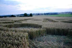 Avebury Manor, Wiltshire crop circle, aerial photo 36