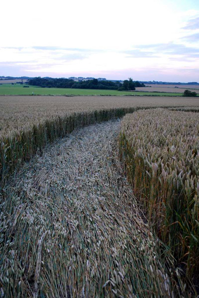 Avebury Manor, Wiltshire crop circle, aerial photo 33