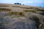 Avebury Manor, Wiltshire crop circle, aerial photo 37