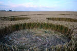 Avebury Manor, Wiltshire crop circle, aerial photo 38
