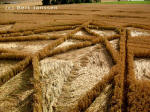Yatesbury, Wiltshire crop circle, aerial photo 5
