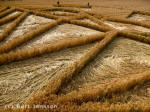 Yatesbury, Wiltshire crop circle, aerial photo 4