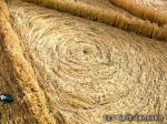 Yatesbury, Wiltshire crop circle, aerial photo 8