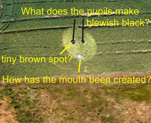 Baltic Farm, Wiltshire crop circle, aerial photo 3
