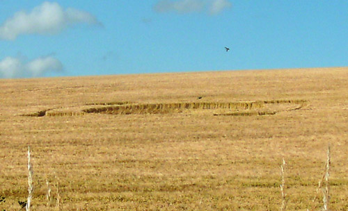 Chilcomb Down, Hampshire crop circle, aerial photo 4
