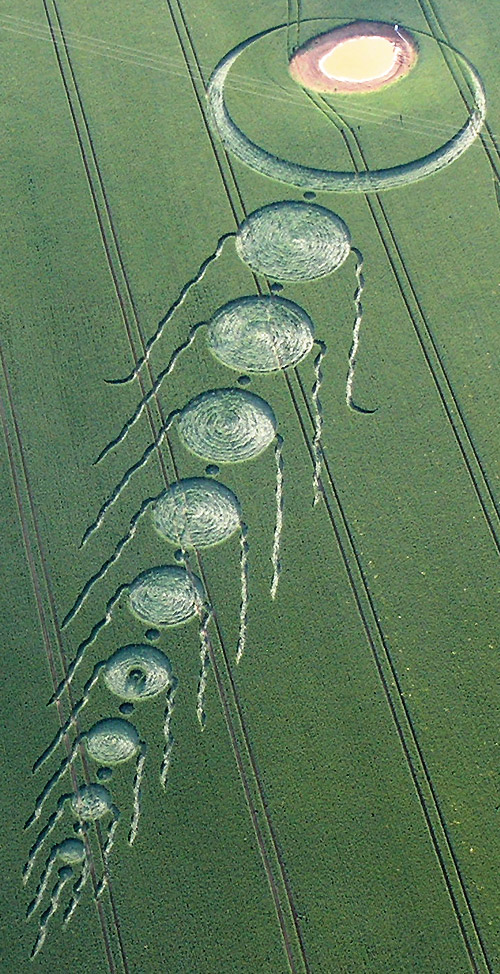 Martinsell Hill, Wiltshire crop circle, aerial photo 3