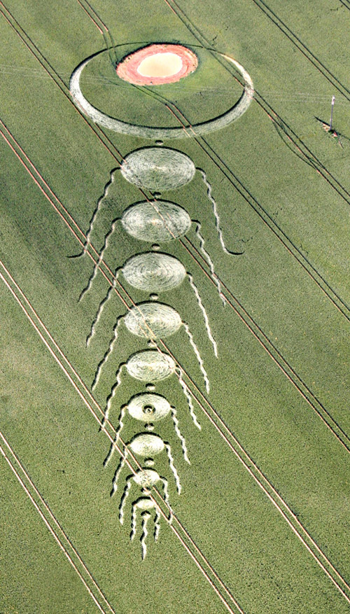 Martinsell Hill, Wiltshire crop circle, aerial photo 6