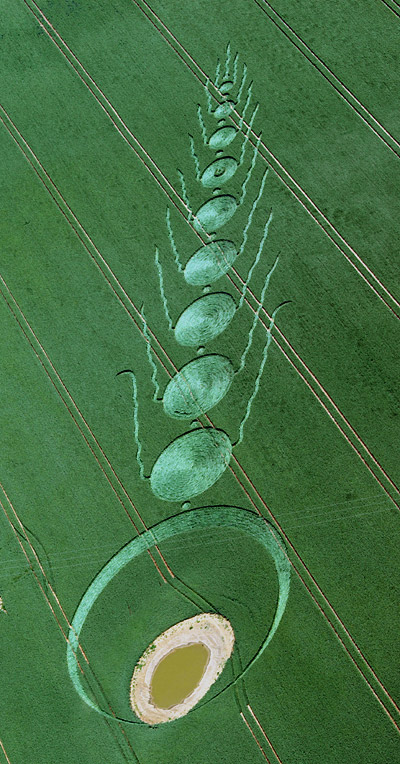 Martinsell Hill, Wiltshire crop circle, aerial photo 4
