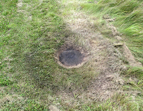 Woodborough Hill, Wiltshire crop circle, aerial photo 6