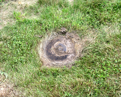Woodborough Hill, Wiltshire crop circle, aerial photo 5