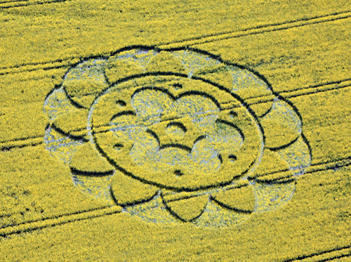 All Cannings Bridge, Wiltshire crop circle, aerial photo 6