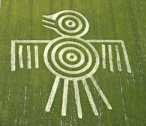 Barbury Castle, Wiltshire crop circle, aerial photo 6