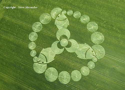 Bishop Cannings, Wiltshire crop circle, aerial photo 5