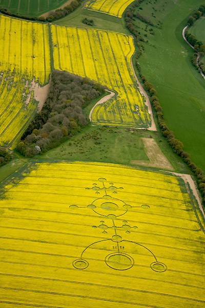 Clatford, Wiltshire crop circle, aerial photo 6
