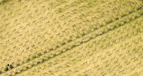 East Field, Wiltshire crop circle, aerial photo 4