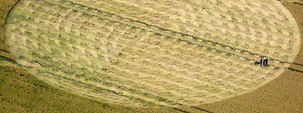 East Field, Wiltshire crop circle, aerial photo 9