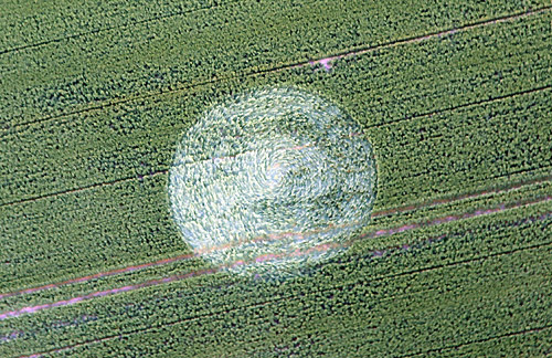 Honey Street, Wiltshire crop circle, aerial photo 5
