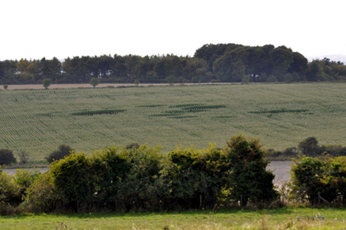 Knighton Hill, Oxfordshire crop circle, aerial photo 12