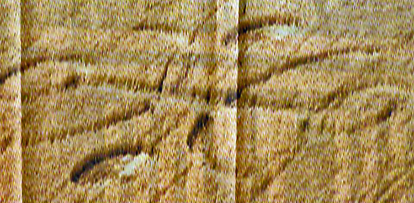 Knights in the Bottom, Dorset crop circle, aerial photo 3