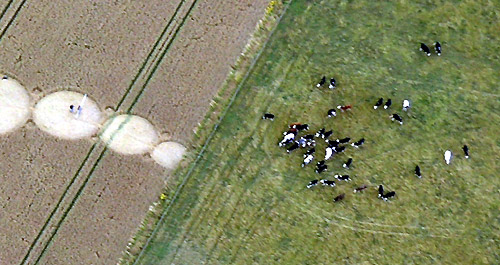 Hill, Wiltshire crop circle, aerial photo 2