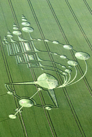 Below Milk Hill (3), Wiltshire crop circle, aerial photo 28