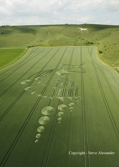 Below Milk Hill (3), Wiltshire crop circle, aerial photo 16
