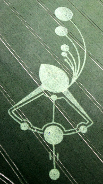 Below Milk Hill (3), Wiltshire crop circle, aerial photo 4