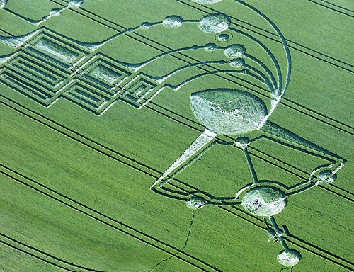 Below Milk Hill (3), Wiltshire crop circle, aerial photo 9