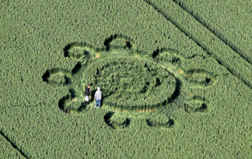 Below Milk Hill (3), Wiltshire crop circle, aerial photo 31