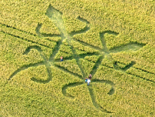 Milk Hill (5), Wiltshire crop circle, aerial photo 3