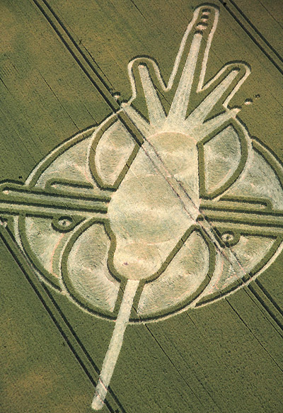 Milk Hill (6), Wiltshire crop circle, aerial photo 8