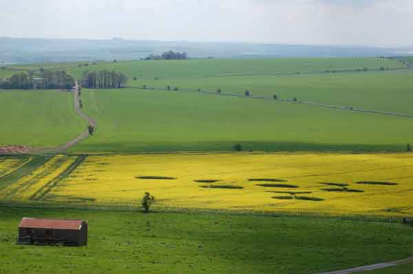 Morgan's Hill, Wiltshire crop circle, aerial photo 6