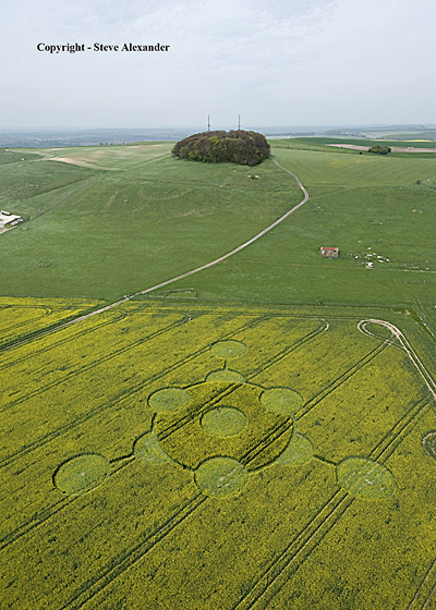 Morgan's Hill, Wiltshire crop circle, aerial photo 7