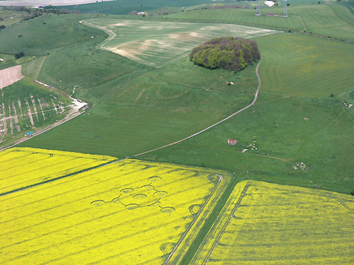 Morgan's Hill, Wiltshire crop circle, aerial photo 2
