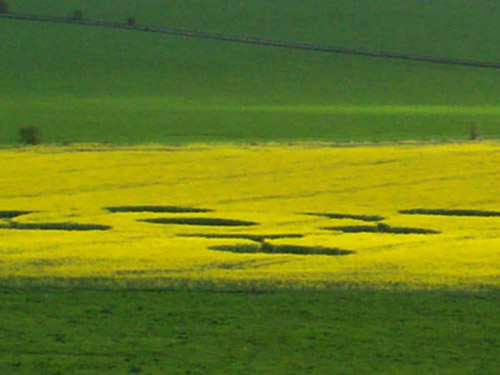 Morgan's Hill, Wiltshire crop circle, aerial photo 12