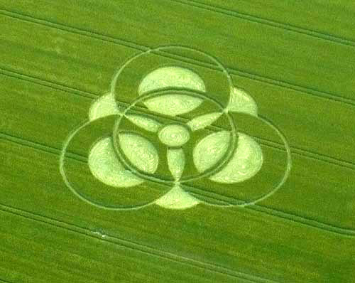 New Farm, Wiltshire crop circle, aerial photo 11