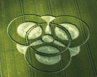 New Farm, Wiltshire crop circle, aerial photo 8