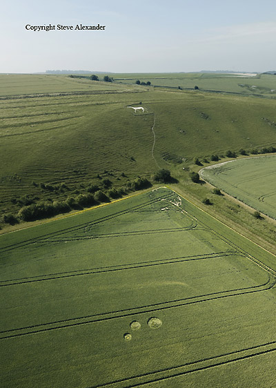 Pewsey White Horse, Wilshire crop circle, aerial photo 2