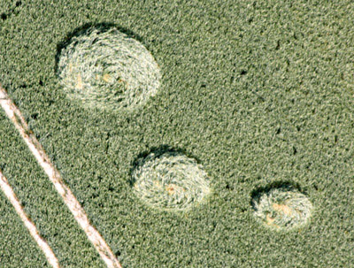 Pewsey White Horse, Wilshire crop circle, aerial photo 3