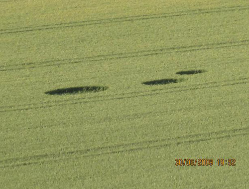 Pewsey White Horse, Wilshire crop circle, aerial photo 4