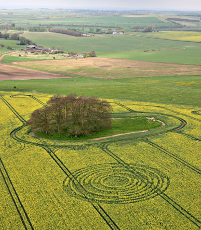 The Ridgeway, Wiltshire crop circle, aerial photo 4