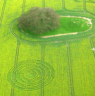 The Ridgeway, Wiltshire crop circle, aerial photo 9