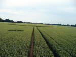 Rochford Golf Course, Essex crop circle, aerial photo 8