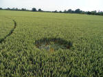 Rochford Golf Course, Essex crop circle, aerial photo 6