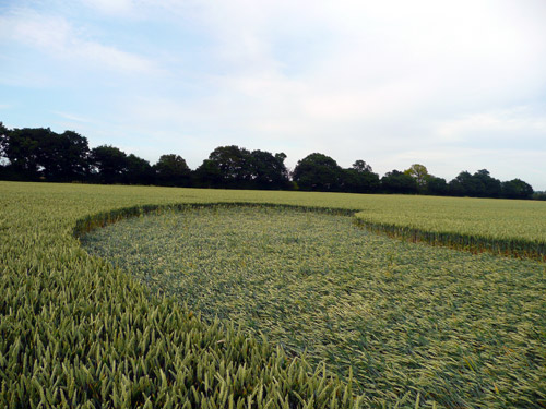 Rochford Golf Course, Essex crop circle, aerial photo 2