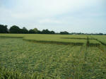 Rochford Golf Course, Essex crop circle, aerial photo 10