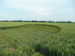 Rochford Golf Course, Essex crop circle, aerial photo 12