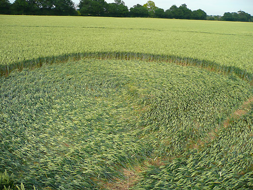 Rochford Golf Course, Essex crop circle, aerial photo 3