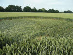 Rochford Golf Course, Essex crop circle, aerial photo 13