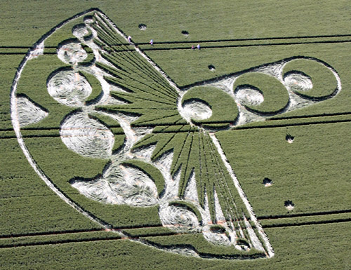 Rough Hill, Wiltshire crop circle, aerial photo 5